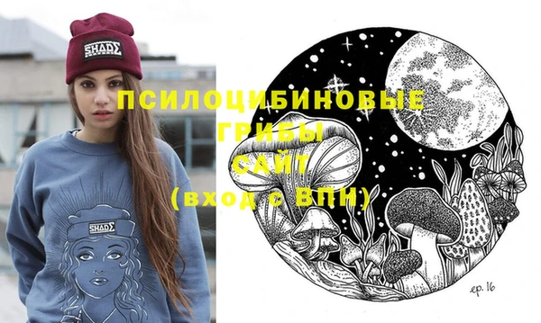 стафф Гусев