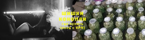 стафф Гусев