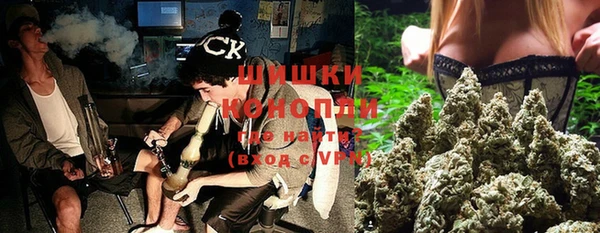 стафф Гусев