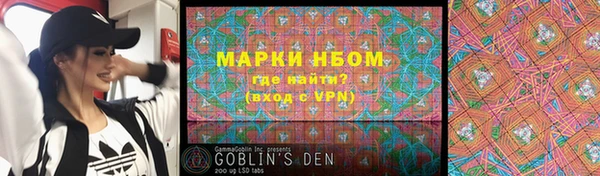 стафф Гусев