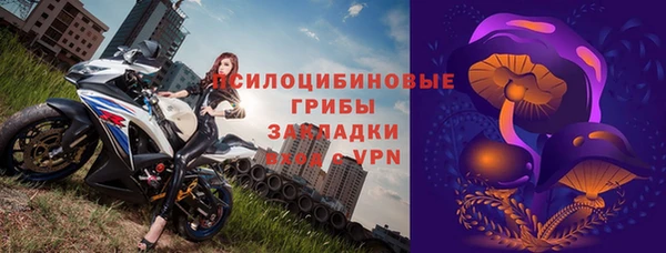 стафф Гусев