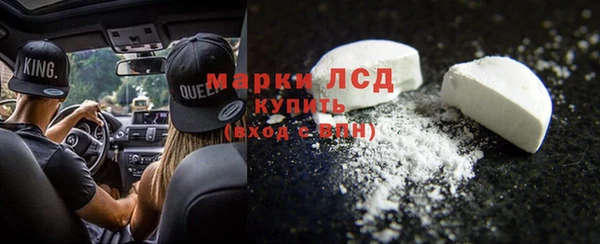 стафф Гусев